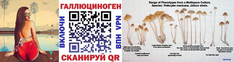 где найти   Белогорск  Галлюциногенные грибы Magic Shrooms 